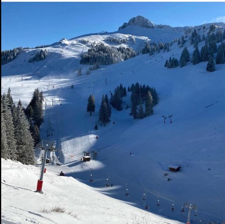 Igloo Ski In Ski Out Thollon-les-Memises Kültér fotó
